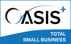 OASIS HUBZONE Logo